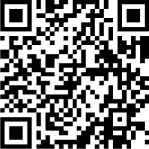 QR-код для оплаты книги «ИИ и мы»